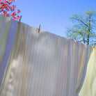 Lychee Sorbet Colored Striped Tablecloth in Cotton and Linen Hanging on an Outdoor Clothing Line Amongst Blossoms