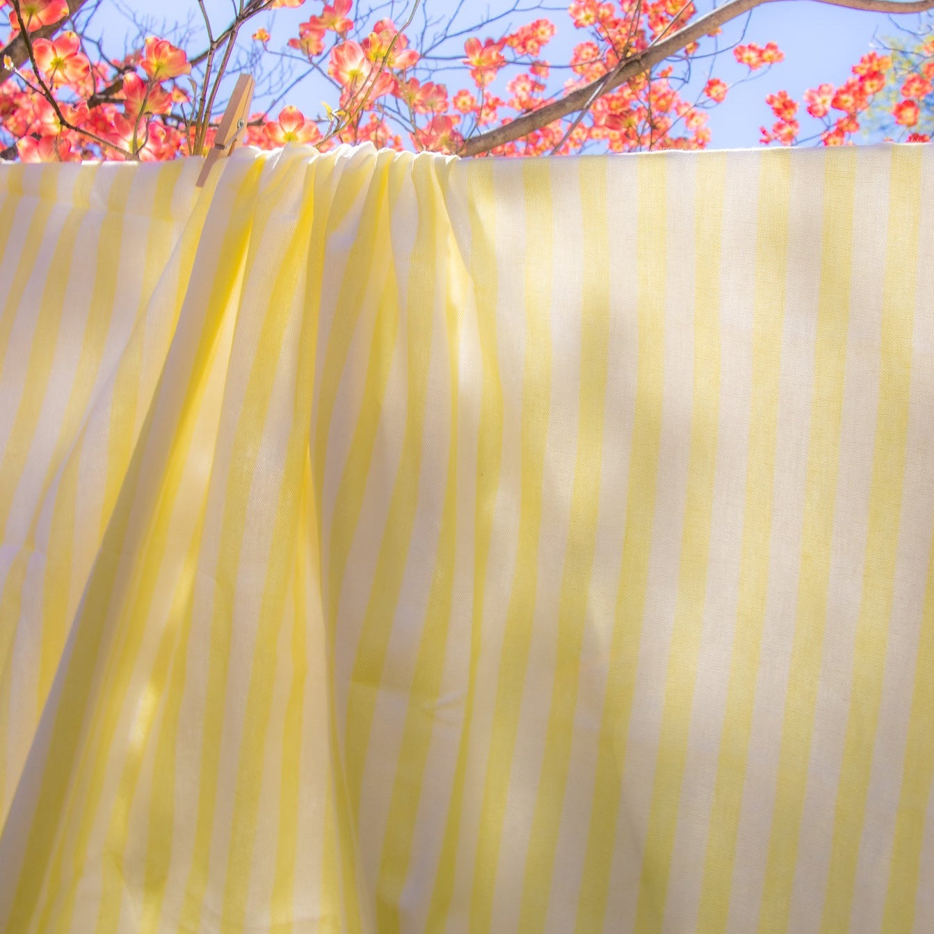 Lemon Sherbet Yellow and White Striped Tablecloth in Linen hanging on Outdoor Clothing Line